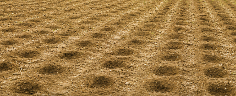 Cabinet Urges Climate-Smart Farming as Climate Change Threatens Agriculture