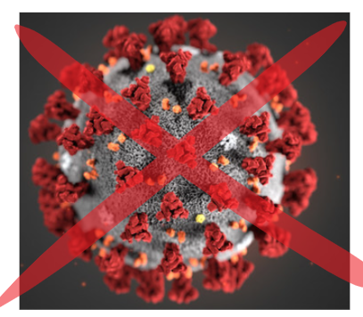 No Covid Outbreak , Its Influenza :Govt